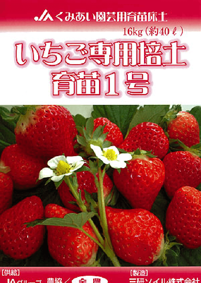 いちご専用培土  育苗１号